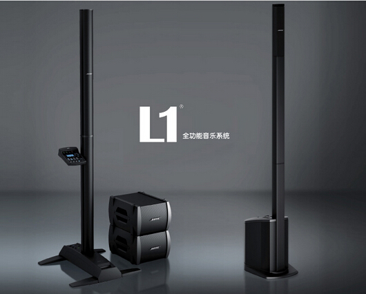 L1®专业娱乐系统
