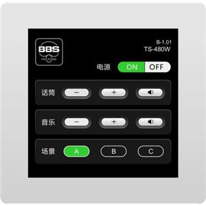 TS-480W