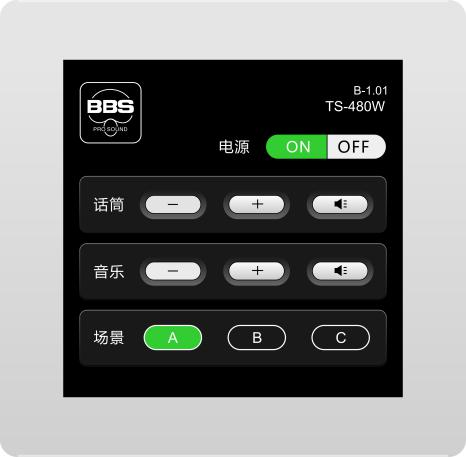 TS-480W